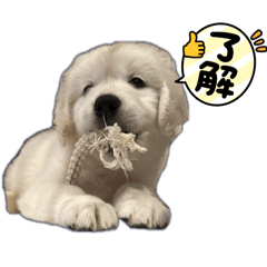 yuka_20240208163358