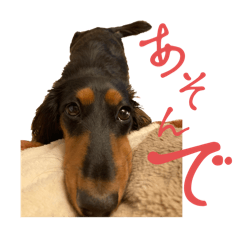 Milimili_20240209000317