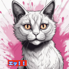 Cat facial expressions
