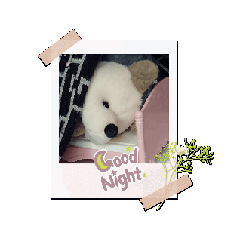 Say Goodnight each night
