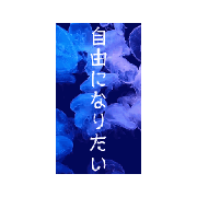 koushi_20240208180045