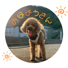 Tompei_20240208235736