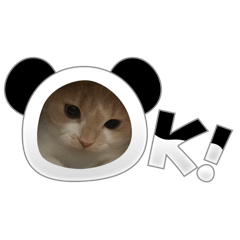 chisa_20240209145029