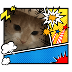 chisa_20240209160202