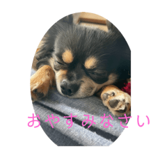 sayuri_20240209111927