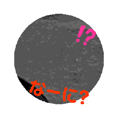 akaneko_20240210081148