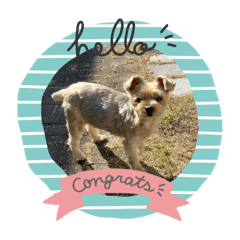 sakura_20240209185930