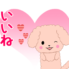 Ruki-Poodle5