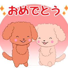 Ruki-Poodle5-pop