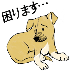 rescued dog Fuku/ tsumaboku edition