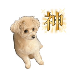 NAO_20240209190517