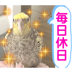 fu-ku_20240209215330