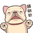 French Bulldog PIGU Animated Stickers 24