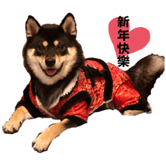 2024Hana龍年～～