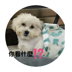 奴奴貼圖第一代