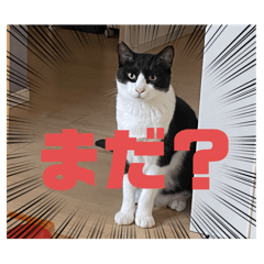 omochi_20240210134556