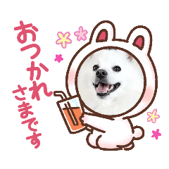 suzuki taro_20240210115738