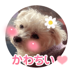 Wonderful Life_20240210190149