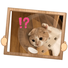 chisa_20240210194041