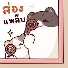 บ้านแมวชาเล็ม : น่าฮัก