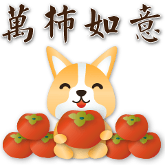 Cute Corgi --super practical