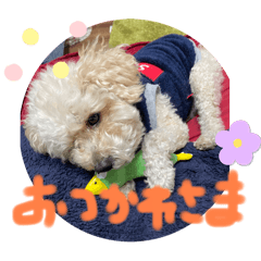 Wonderful Life_20240210203854