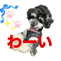 boku fuku