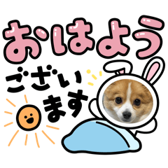 mikito_20240211092201