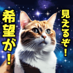 space galaxy cat