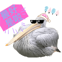 鳥鳥22