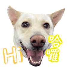 Xuan_20240211113229 – LINE stickers | LINE STORE