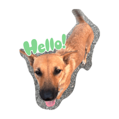Stella Dog – LINE stickers | LINE STORE