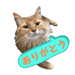 nao_20240211095616