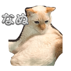 御れおのすたんぷ２