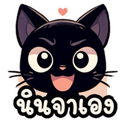 Ninja the Black Cat
