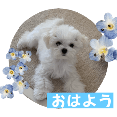 yuka_20240211181007