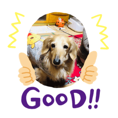 RYUKI_20240211182437