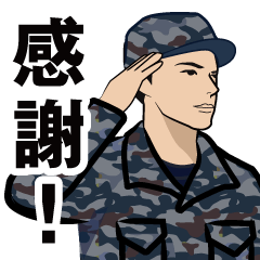 Japan Air Self-Defense Force 4