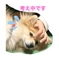 Akane.O_20240211203543