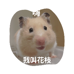 小勞淑花枝
