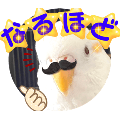 fu-ku_20240212003556