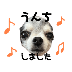 sakura_20240212035451