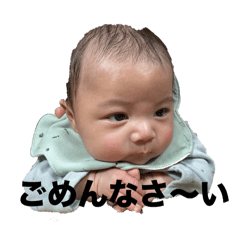tonton_20240212004945