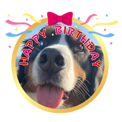 SAKURA_20240211230016