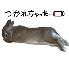 rabbit_uruku