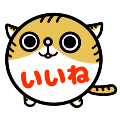 Round and cute cat stickers