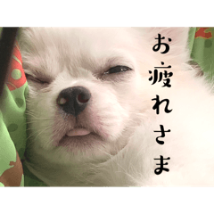 kana_20240211235704