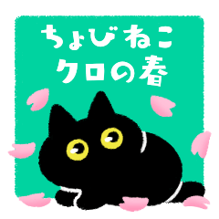 Little black cat and spring
