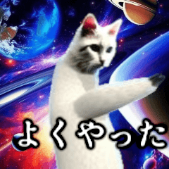 ⚫踊る宇宙猫４０匹セット(セリフ付き)