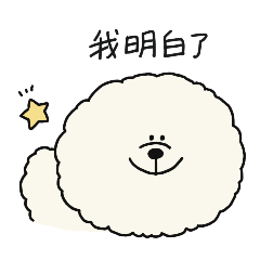fluffy dog bichonfrize 2
